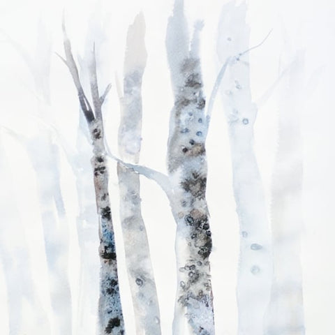 Snowy Birch Trees