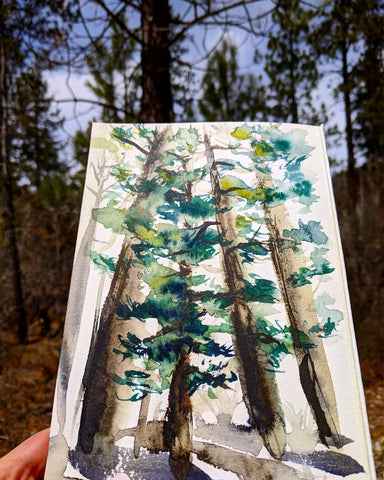 Angeles Original Forest, Large pines